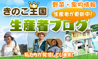 きのこ王国生産者ブログ