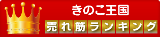 売れ筋ランキング