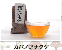 カバノアナタケ
