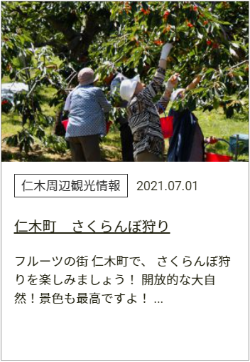 きのこ王国 仁木店 きのこ王国